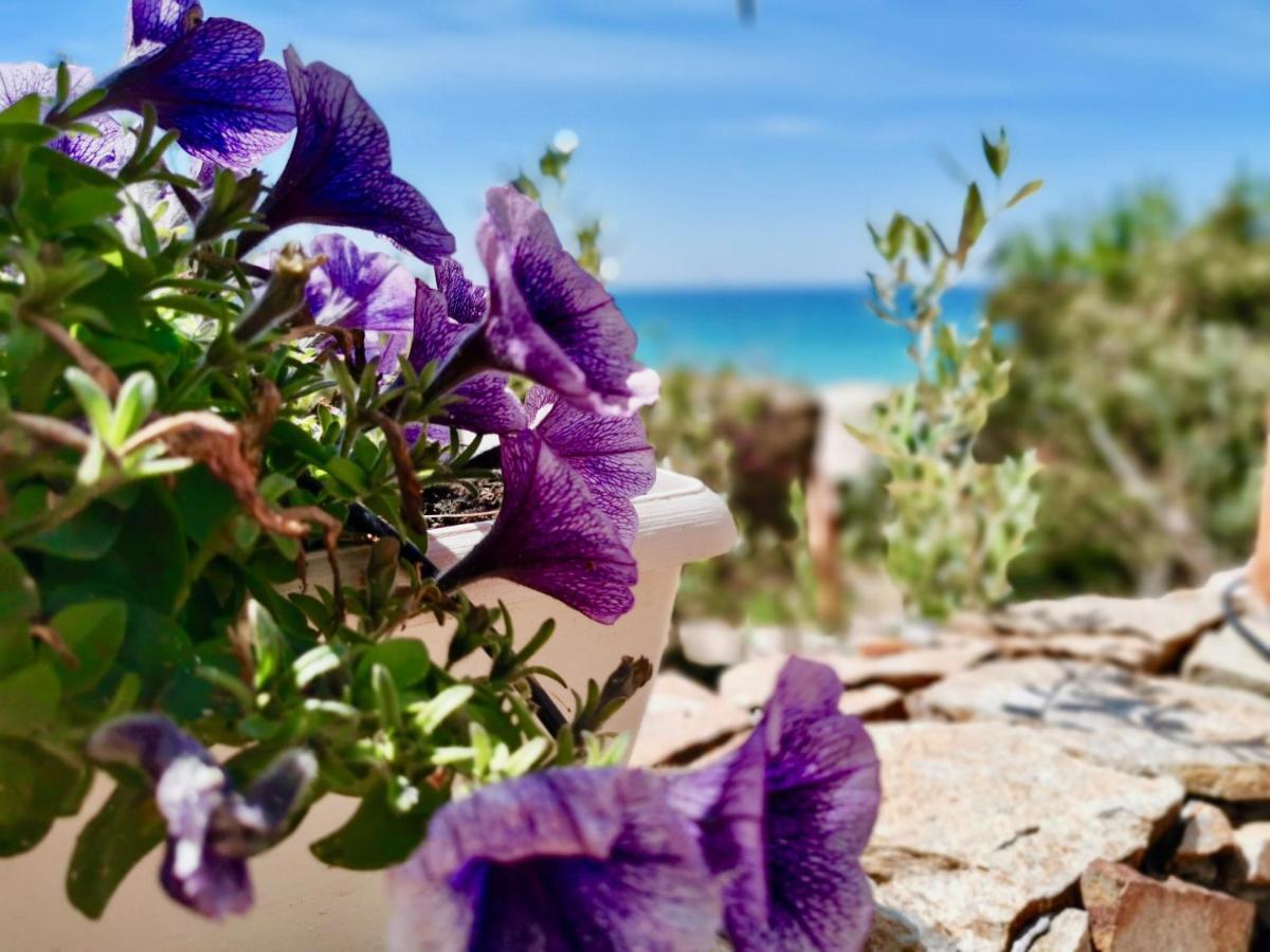 Apartament Beachfront House Geremeas Sardegna Zewnętrze zdjęcie